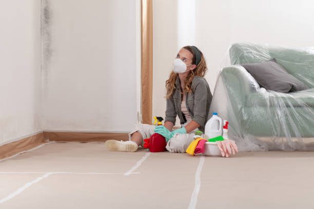 Reliable Mold Cleanup contractor in Mohrsville, PA by WQB Mold Removal